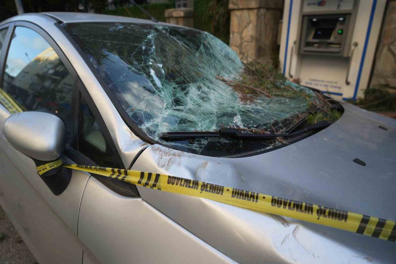 SAMSUN’DA GECE SAATLERİNDE ETKİLİ OLAN ŞİDDETLİ FIRTINADA DEVRİLEN AĞAÇTAN KOPAN PARÇALAR, İLKADIM...