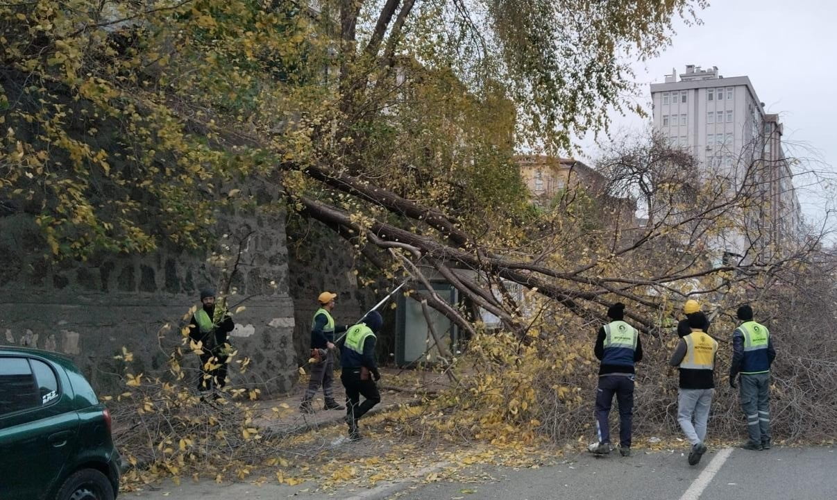 SAMSUN’DA SABAH SAATLERİNDE ETKİLİ OLAN ŞİDDETLİ RÜZGAR NEDENİYLE BİR AĞAÇ DEVRİLDİ.