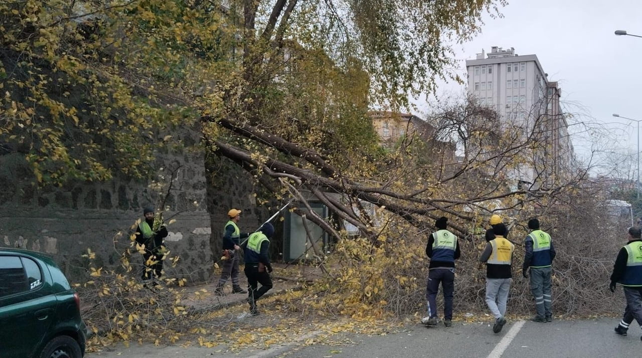SAMSUN’DA SABAH SAATLERİNDE ETKİLİ OLAN ŞİDDETLİ RÜZGAR NEDENİYLE BİR AĞAÇ DEVRİLDİ.