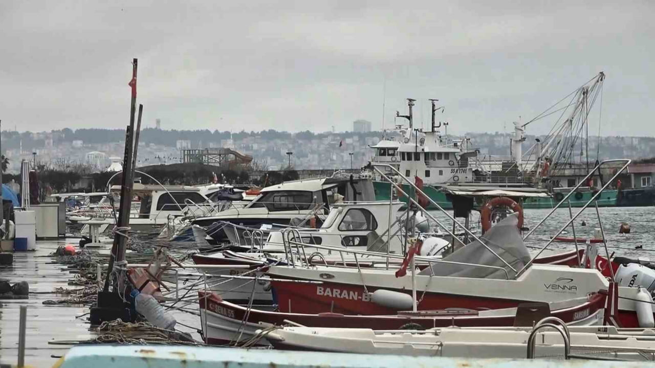 SAMSUN SU ÜRÜNLERİ KOOPERATİFİ BAŞKANI ATIF MALKOÇ, KARADENİZ’DE OLDUKÇA BOL OLAN LÜFERİN, AVCI...