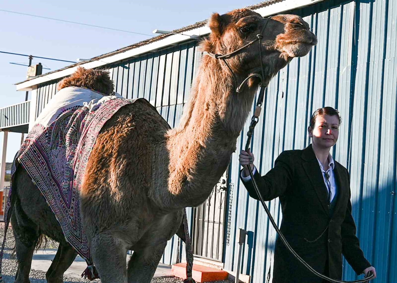 SANATÇI MERTCAN TÜRKOĞLU, Hİ JOLLY'NİN ARİZONA'DAKİ ANIT MEZARI BAŞINDA ANILDI