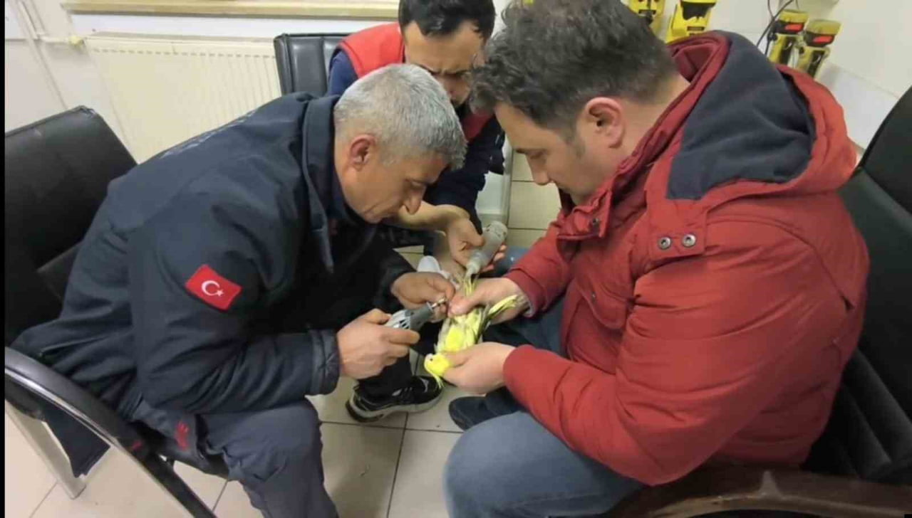 ŞANLIURFA'DA PAPAĞANIN AYAĞINA SIKIŞAN HALHAL İTFAİYE EKİPLERİNİN OPERASYONUYLA ÇIKARILDI