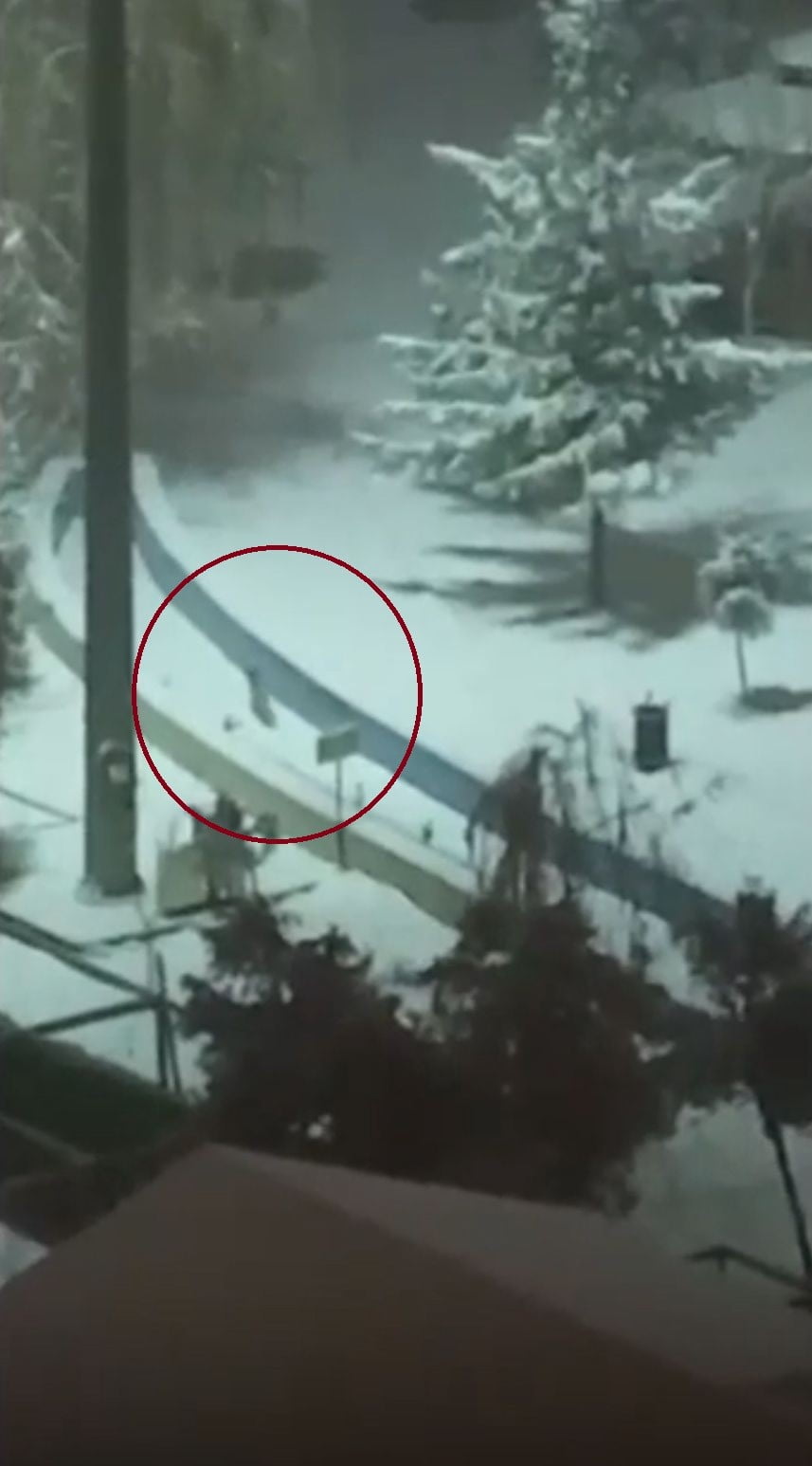 SİİRT’İN KURTALAN İLÇESİNDE DÜN GECEDEN BU YANA ETKİLİ OLAN YOĞUN KAR YAĞIŞI NEDENİYLE DOĞADA...