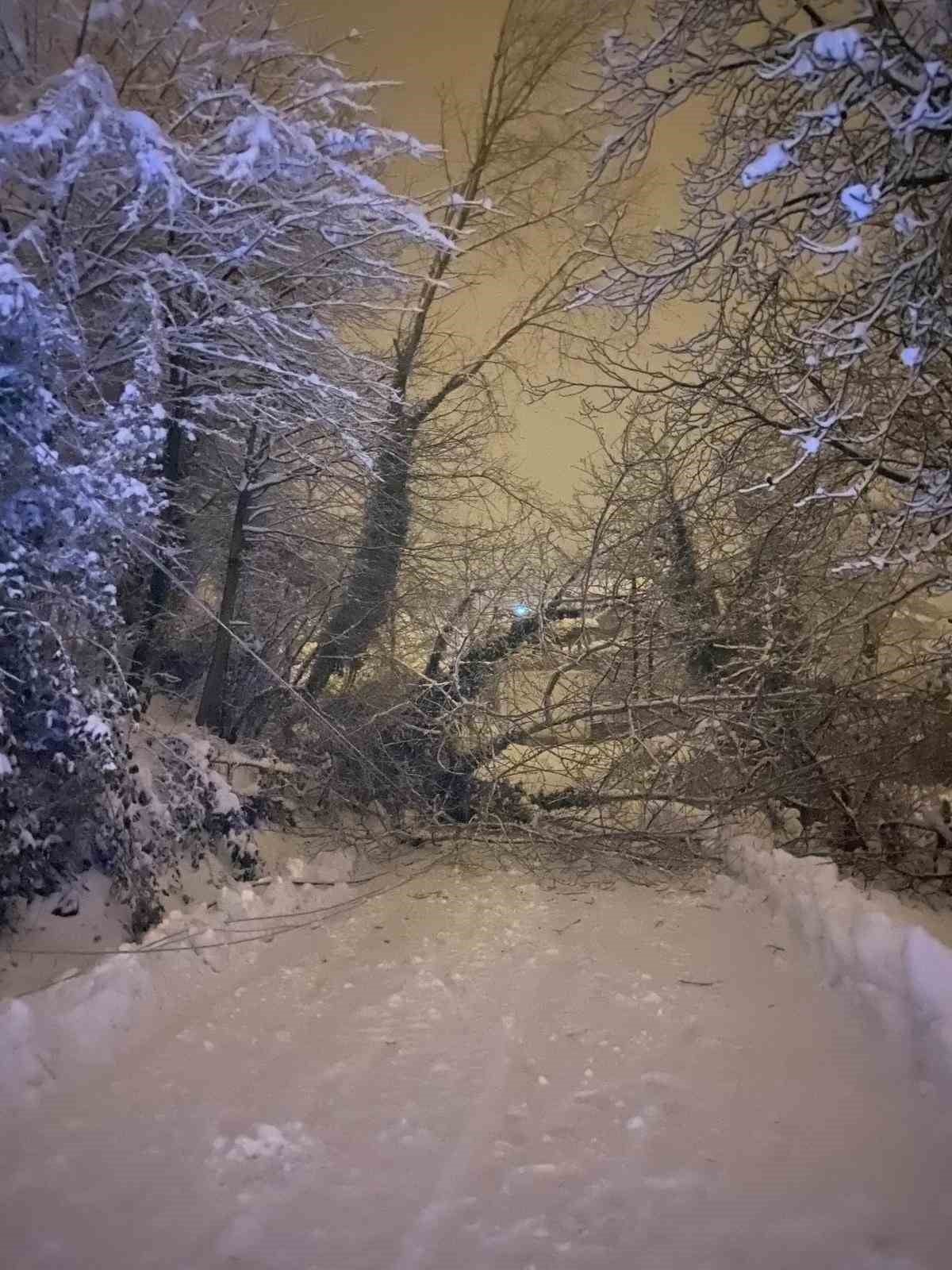SİNOP GENELİNDE GÜNLERDİR ETKİSİNİ SÜRDÜREN YOĞUN KAR YAĞIŞI, HAYATI FELÇ ETTİ.