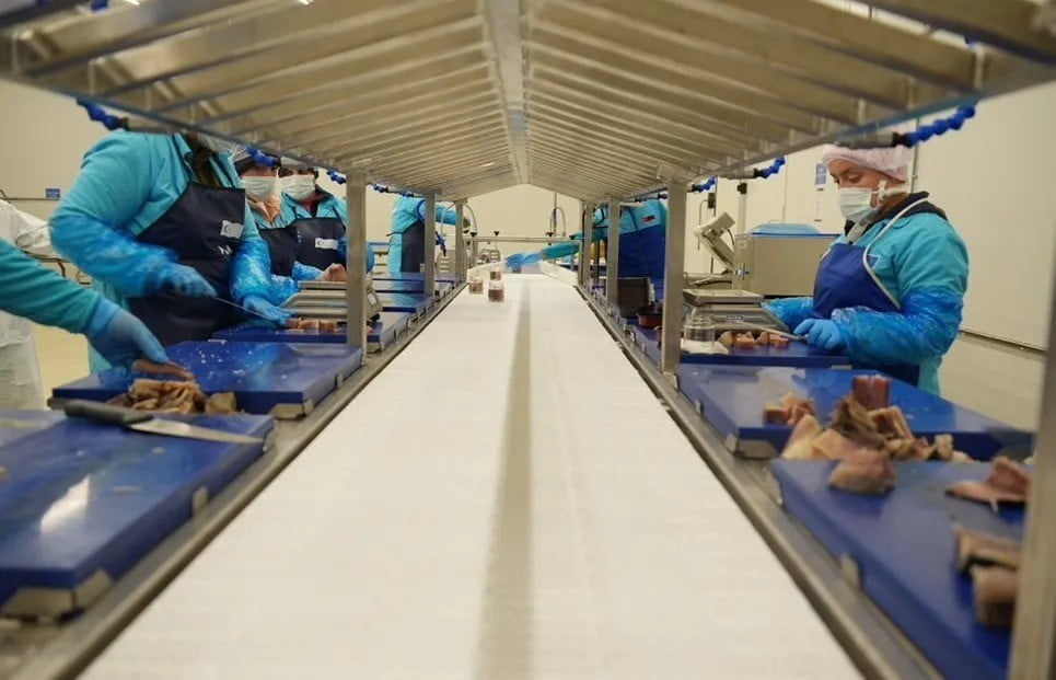 SİNOP VALİLİĞİ, İL TARIM VE ORMAN MÜDÜRLÜĞÜ’NÜN YÜRÜTTÜĞÜ ÇALIŞMALAR KAPSAMINDA 2024 VE 2025...