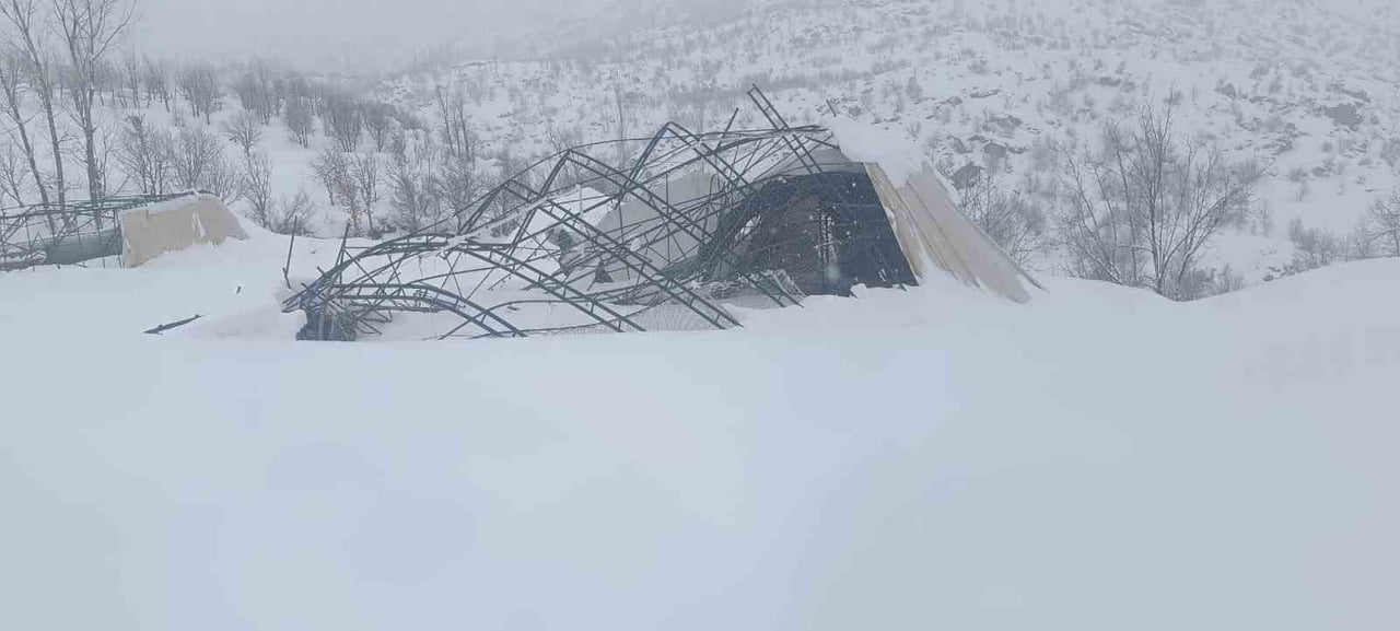 ŞIRNAK'IN BEYTÜŞŞEBAP İLÇESİNDE YOĞUN KAR YAĞIŞINA DAYANAMAYAN HALI SAHANIN DEMİRLERİ...