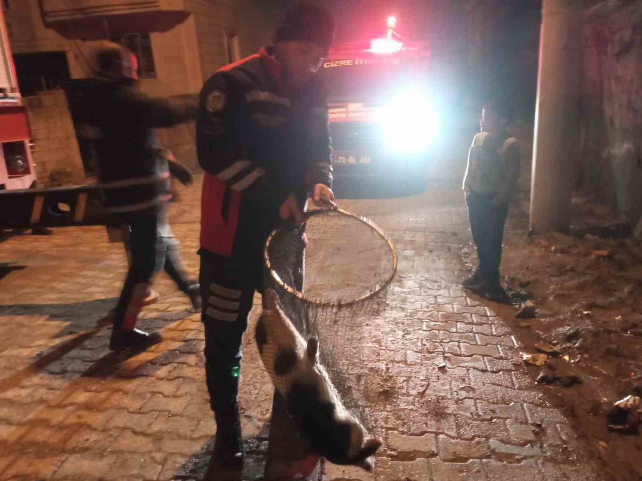 ŞIRNAK’IN CİZRE İLÇESİNDE DAMDAN DÜŞEREK AYAĞI DEMİR KORKULUKLARA SIKIŞAN KEDİ, İTFAİYE...