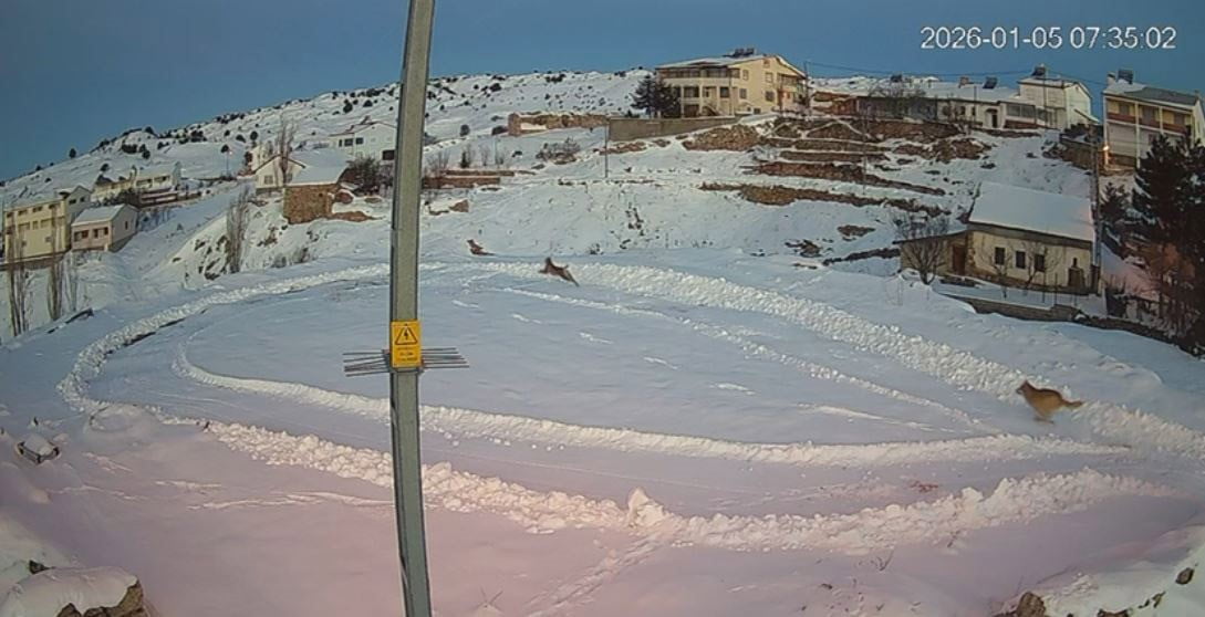 SİVAS’TA 1 GÜN ARAYLA KAYDEDİLEN GÖRÜNTÜLER İZLEYENLERİ HAYRETE DÜŞÜRDÜ. BELGESELLERİ ARATMAYAN...