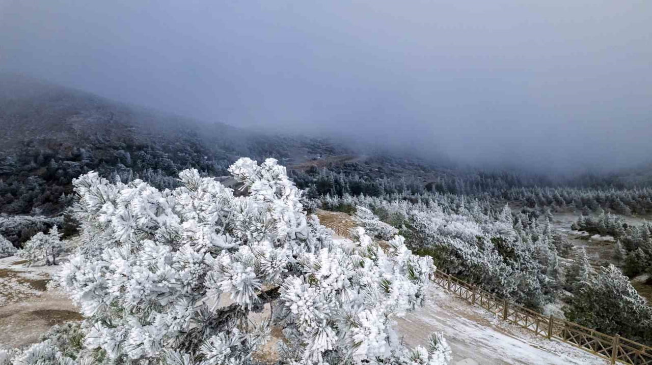 SPİL DAĞI MİLLİ PARKI, KAR YAĞIŞI OLMAMASINA RAĞMEN KIRAĞI VE BUZLANMA NEDENİYLE BEYAZA...