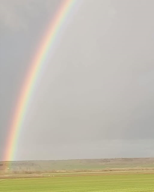 TEKİRDAĞ'IN HAYRABOLU İLÇESİNDE YAĞMURUN ARDINDAN GÖKYÜZÜNDE OLUŞAN GÖKKUŞAĞI, GÜZEL GÖRÜNTÜLER...