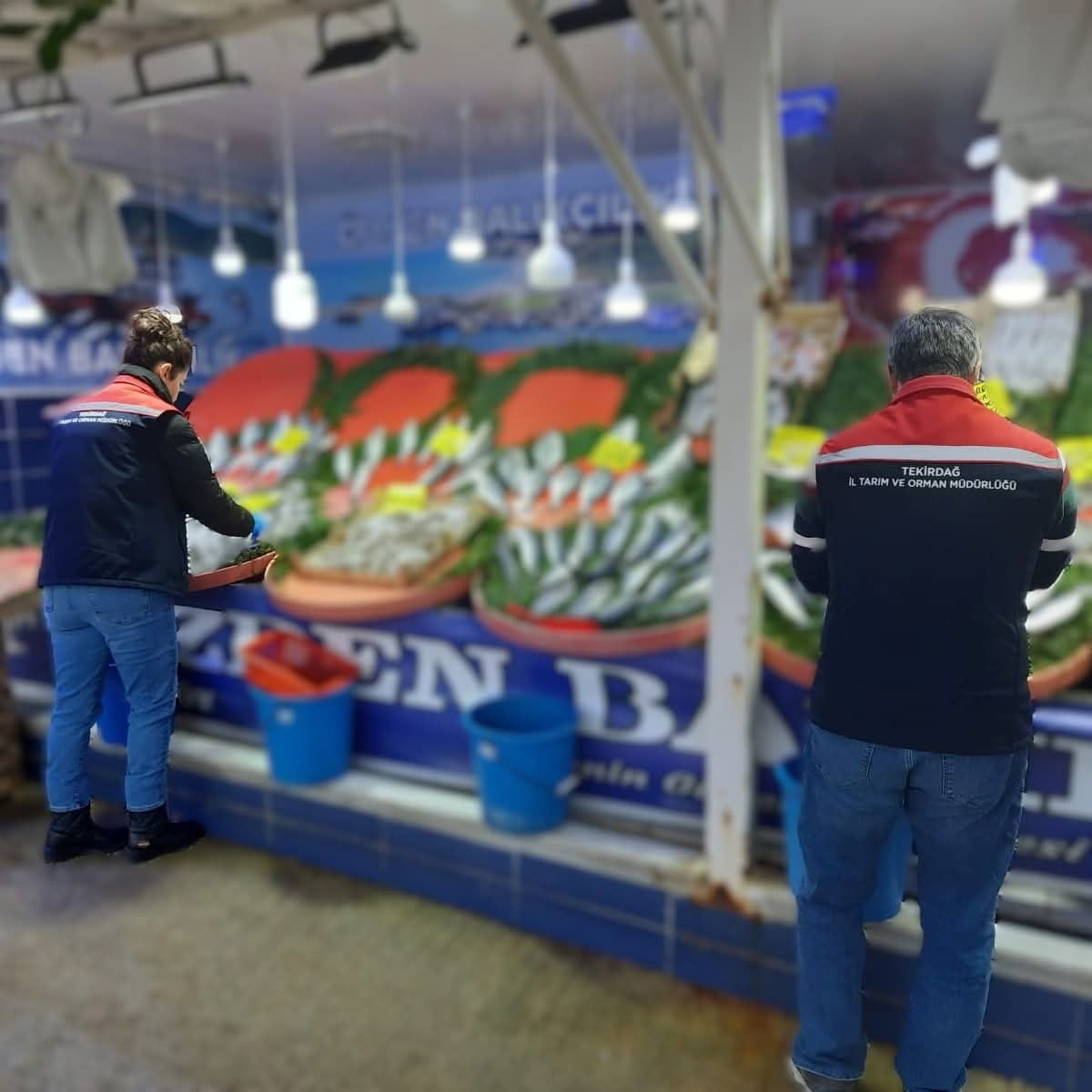 TEKİRDAĞ TARIM VE ORMAN İL MÜDÜRLÜĞÜ EKİPLERİ, SU ÜRÜNLERİNİN KORUNMASI VE YASADIŞI AVCILIKLA...