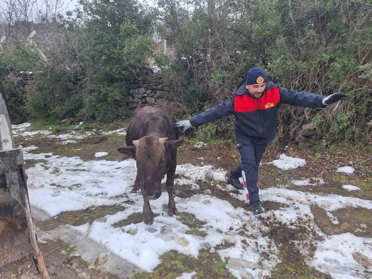 TOKAT’IN NİKSAR İLÇESİNDE SU KUYUSUNA DÜŞEN BİR İNEK, İTFAİYE EKİPLERİNİN BAŞARILI ÇALIŞMASIYLA...