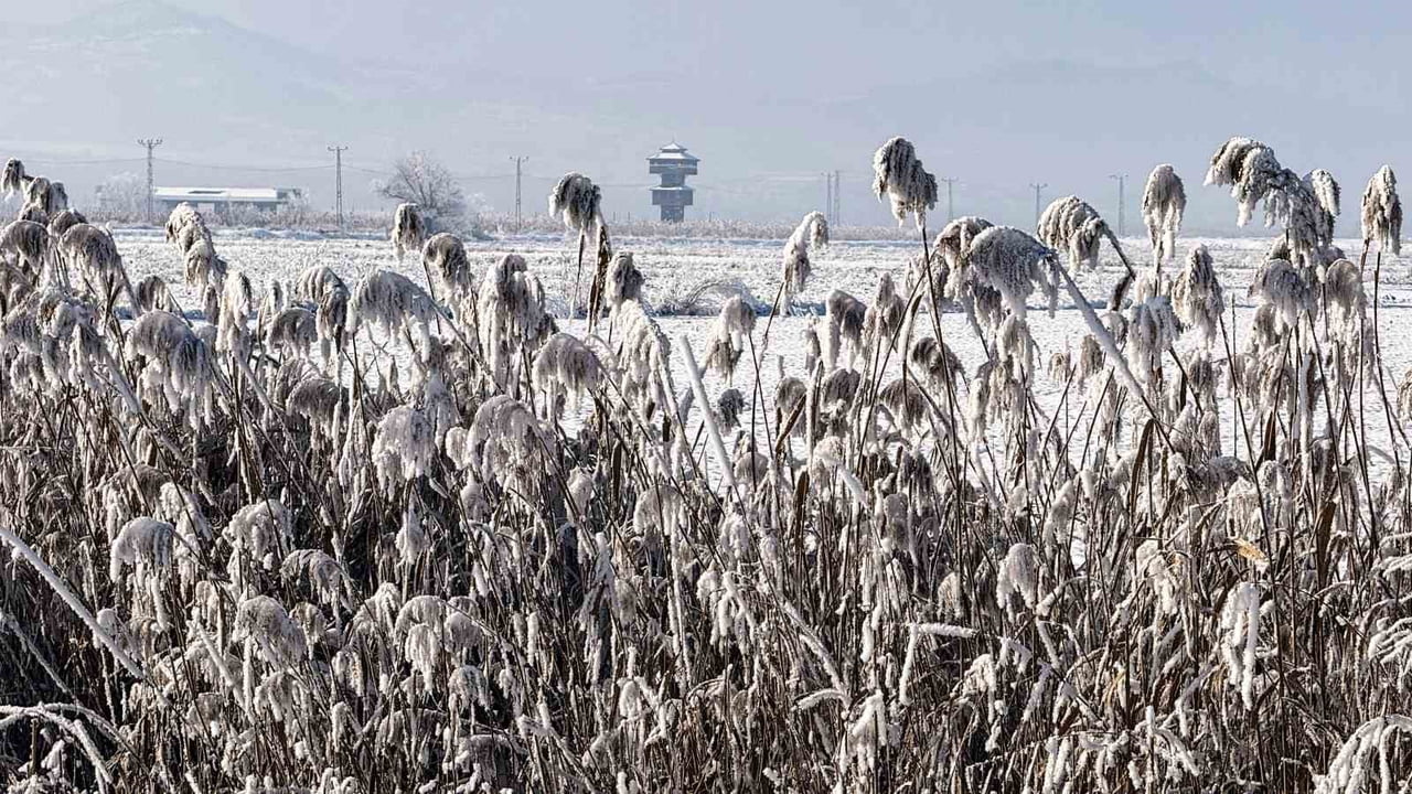 TOKAT’TA KAR YAĞIŞIYLA BİRLİKTE KAZ GÖLÜ BUZ TUTARAK BEYAZA BÜRÜNÜRKEN, DRONLA GÖRÜNTÜLENEN KIŞ...