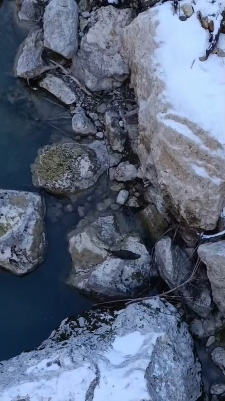 TUNCELİ’NİN ÇEMİŞGEZEK İLÇE MERKEZİNİN HEMEN YANI BAŞINDAN GEÇEN TAĞAR ÇAYI, YOĞUN KAR YAĞIŞININ...