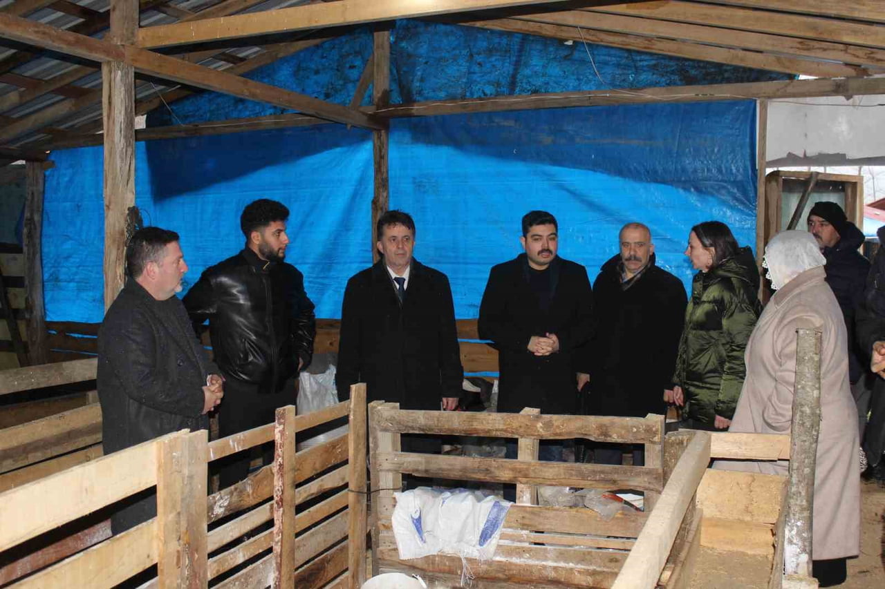 TÜRKELİ’DE KÜÇÜKBAŞ HAYVANCILIKTA BAŞARILI ÜRETİCİLER ONURLANDIRILDI TÜRKELİ İLÇESİNDE, DEVLET...