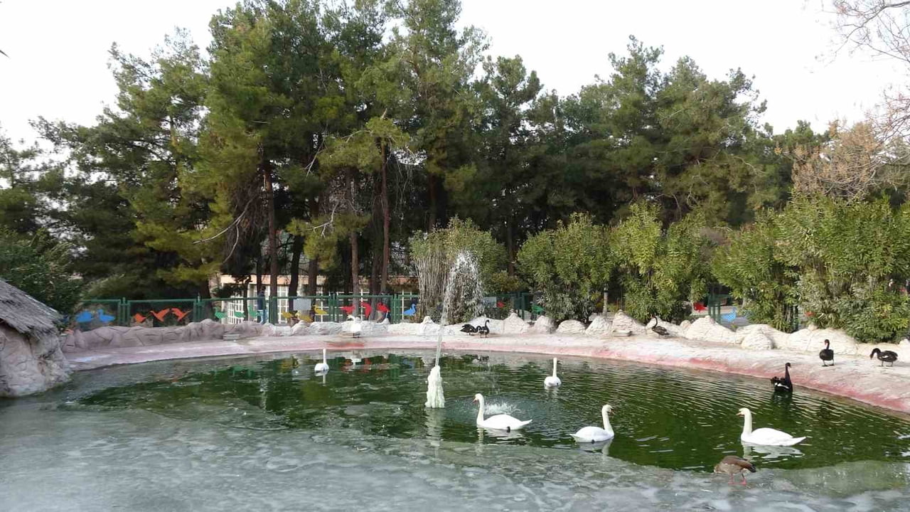 TÜRKİYE'NİN EN BÜYÜK, AVRUPA'NIN ÜÇÜNCÜ VE DÜNYANIN DÖRDÜNCÜ BÜYÜK HAYVANAT BAHÇESİ OLAN GAZİANTEP...