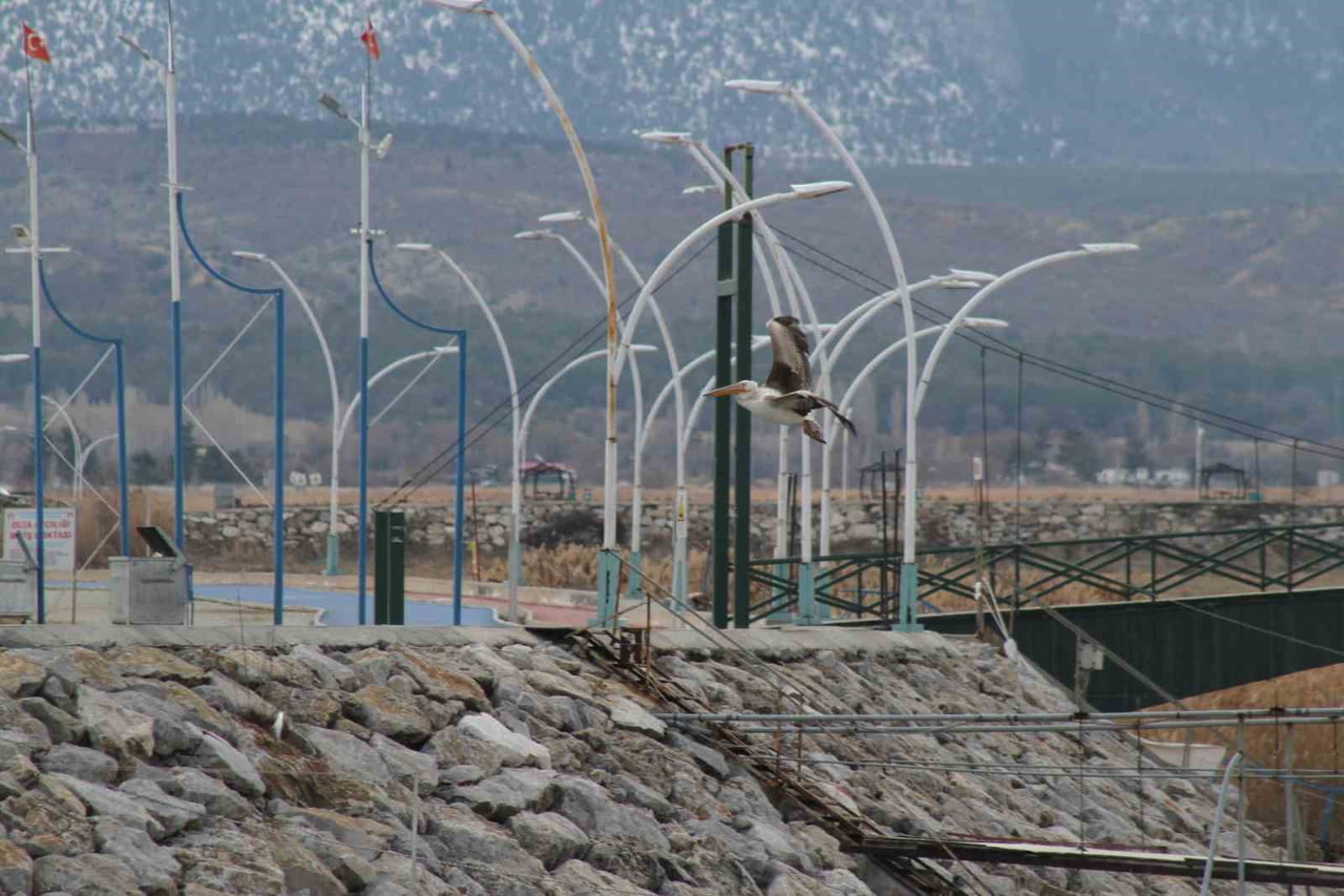 TÜRKİYE’NİN ÖNEMLİ SULAK ALANLARI ARASINDA YER ALAN BEYŞEHİR GÖLÜ MİLLİ PARKI, KIŞ MEVSİMİNDE BU...