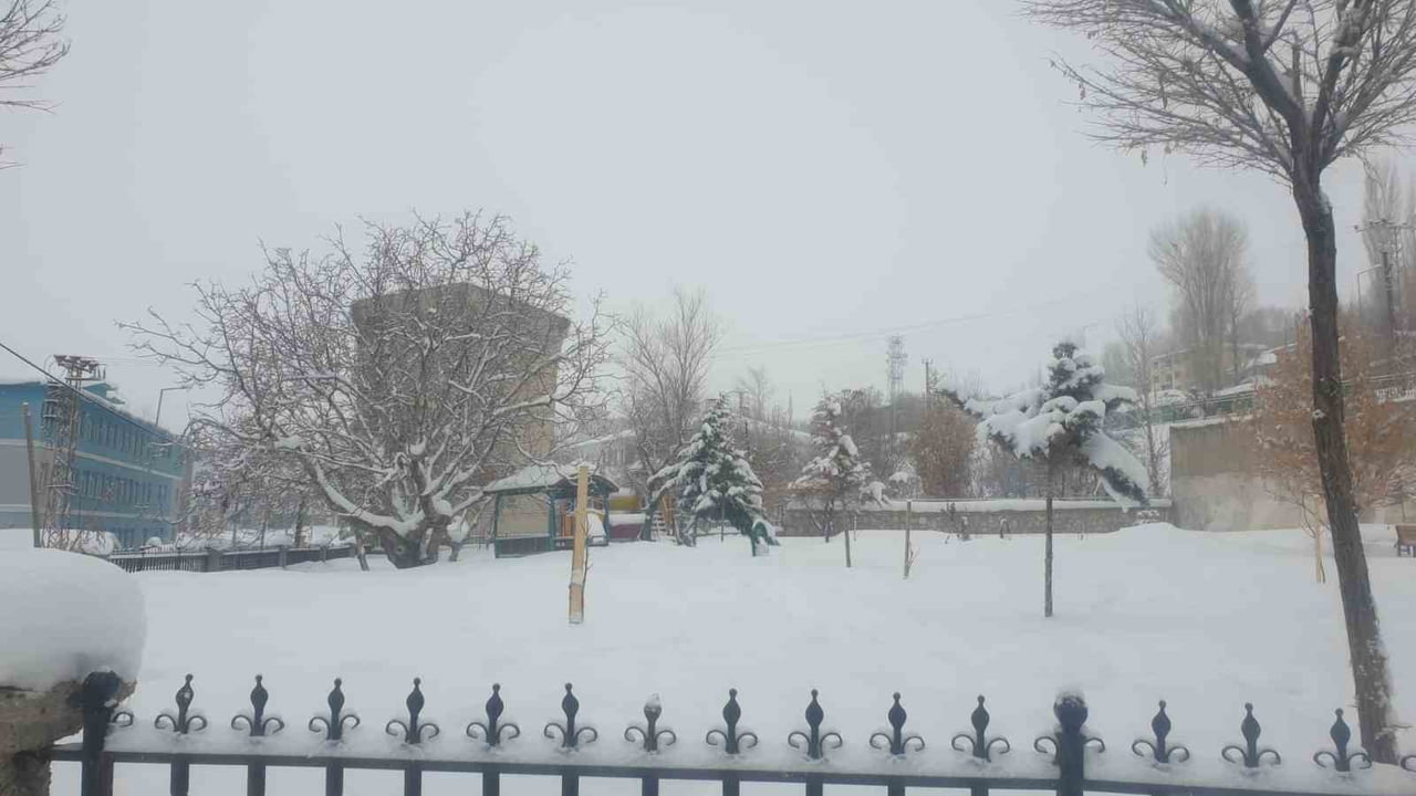 VAN'IN BAŞKALE İLÇESİNDE ETKİLİ OLAN KAR YAĞIŞI HAYATI DURMA NOKTASINA GETİRDİ.