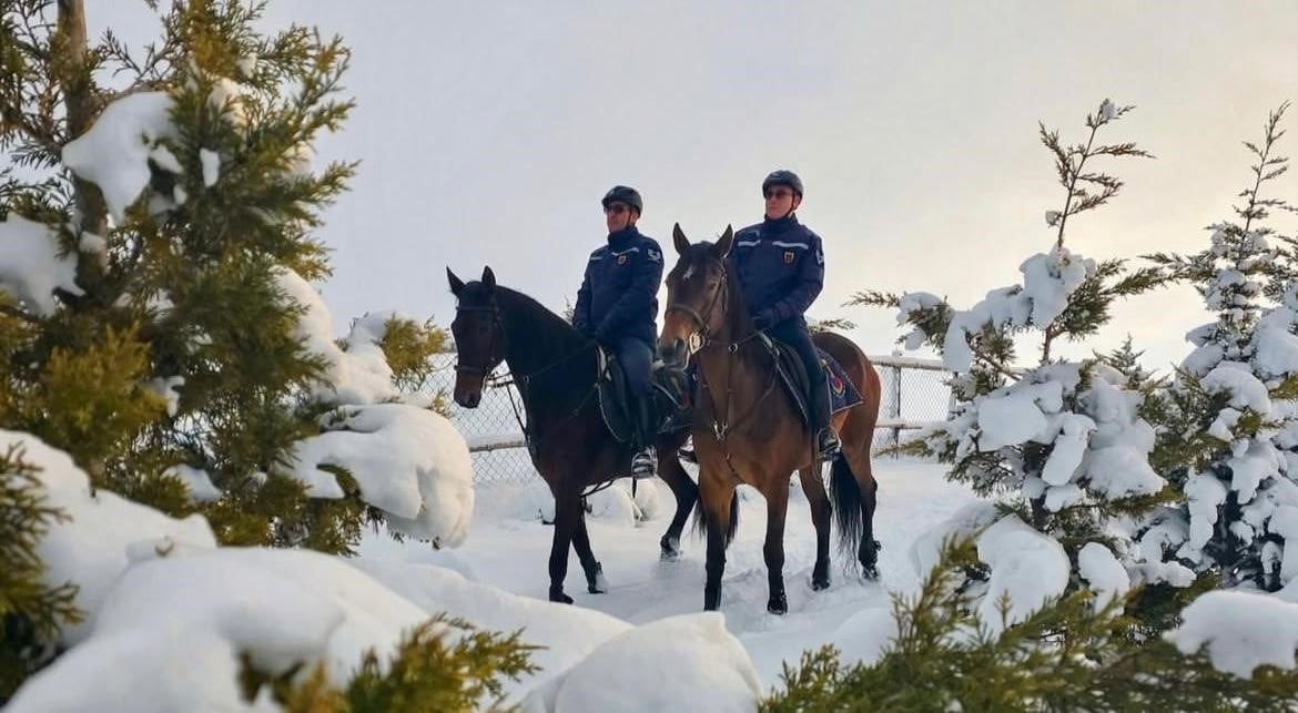 VAN İL JANDARMA KOMUTANLIĞINA BAĞLI ATLI JANDARMA TİMİ, ZORLU KIŞ ŞARTLARINA RAĞMEN GÖREVLERİNİ...