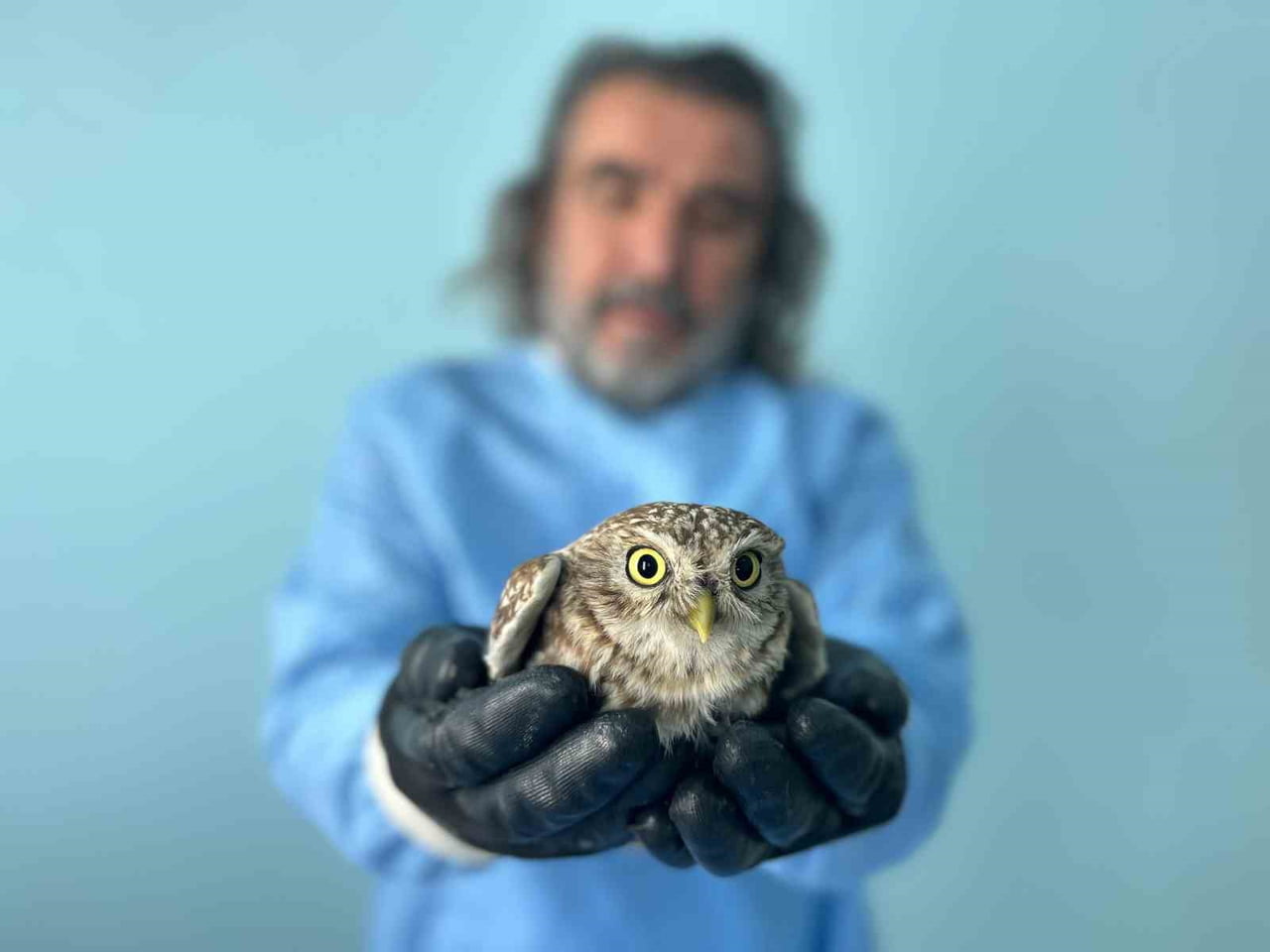 VAN YÜZÜNCÜ YIL ÜNİVERSİTESİ (YYÜ) YABAN HAYVANLARI KORUMA VE REHABİLİTASYON MERKEZİ MÜDÜRÜ PROF....