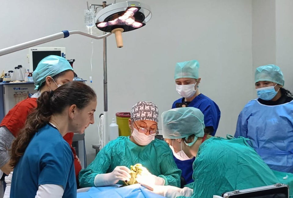 VETERİNER FAKÜLTESİ HAYVAN HASTANESİNDEN 2025’TE REKOR BAŞARI