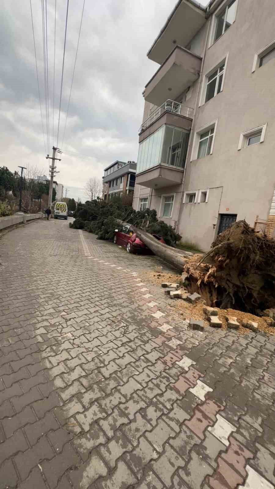 YALOVA'DA ETKİLİ OLAN FIRITINA HAYATI OLUMSUZ YÖNDE ETKİLİYOR. FIRTINADA ÇATILAR, AĞAÇLAR, VİNÇLER...