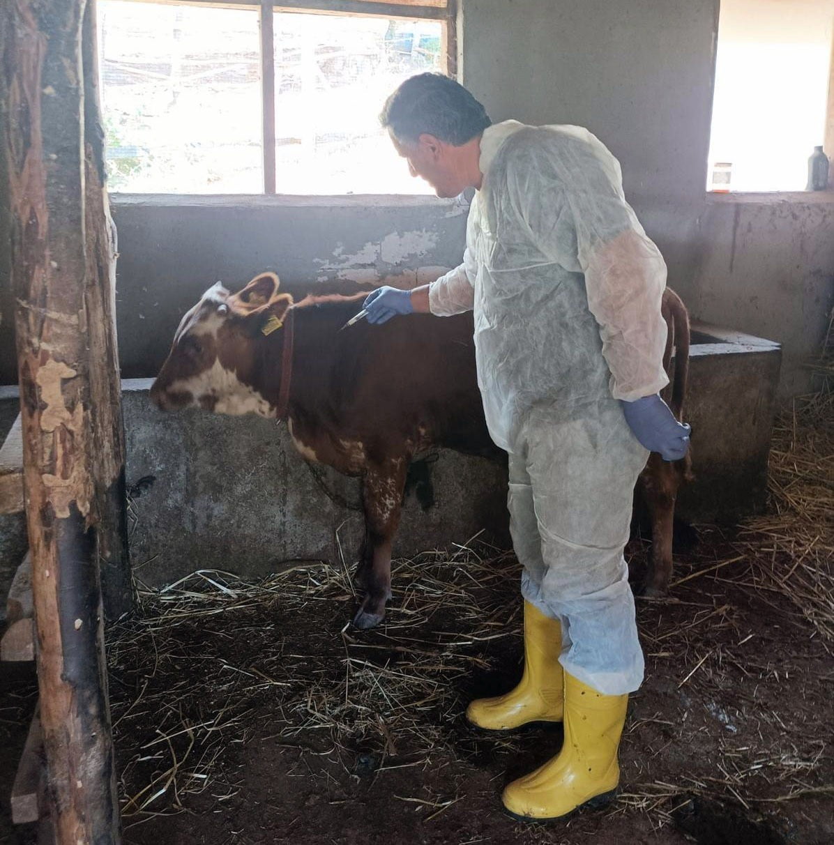 YALOVA TARIM VE ORMAN İL MÜDÜRLÜĞÜ HAYVAN SAĞLIĞI ŞUBE MÜDÜRLÜĞÜ, 2025 YILI BOYUNCA HAYVAN...