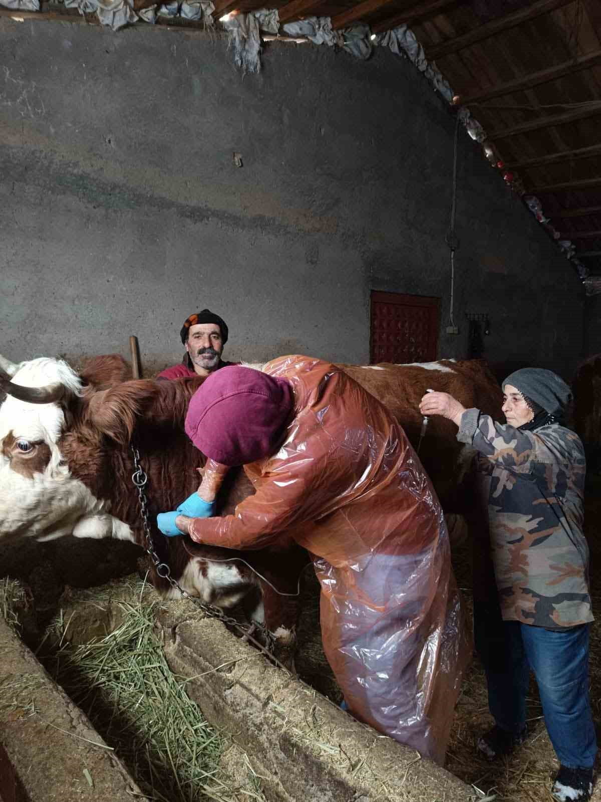 YOĞUN KAR YAĞIŞI NEDENİYLE ULAŞIMA KAPANAN TUNCELİ’NİN ÇEMİŞGEZEK İLÇESİNE BAĞLI ANIL KÖYÜ YOLU...