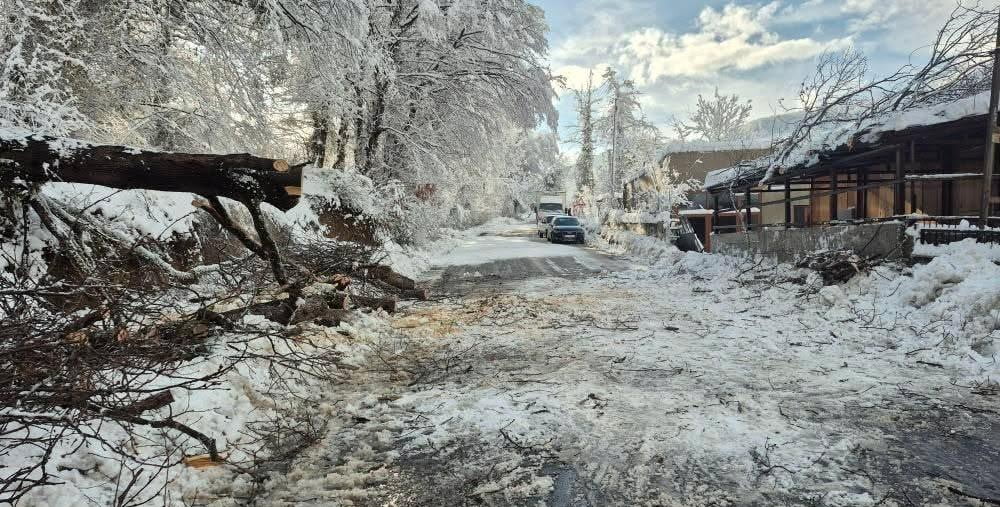 YOL, YAPILAN MÜDAHALENİN ARDINDAN KONTROLLÜ ŞEKİLDE YENİDEN ULAŞIMA AÇILDI.