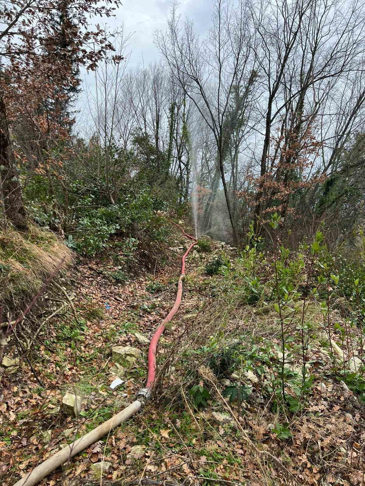 ZONGULDAK (İHA) - ZONGULDAK’IN ALAPLI İLÇESİNDE DERE YATAĞINA ATILAN ÖLÜ TAVUKLAR NEDENİYLE 8...