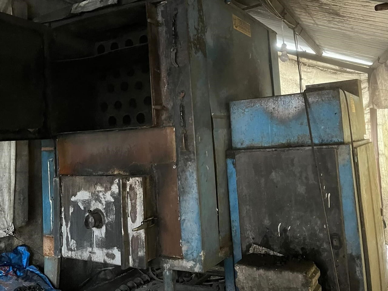 ZONGULDAK (İHA) - ZONGULDAK’IN ALAPLI İLÇESİNE BAĞLI HACIHASAN KÖYÜ’NDE BULUNAN BİR TAVUK...