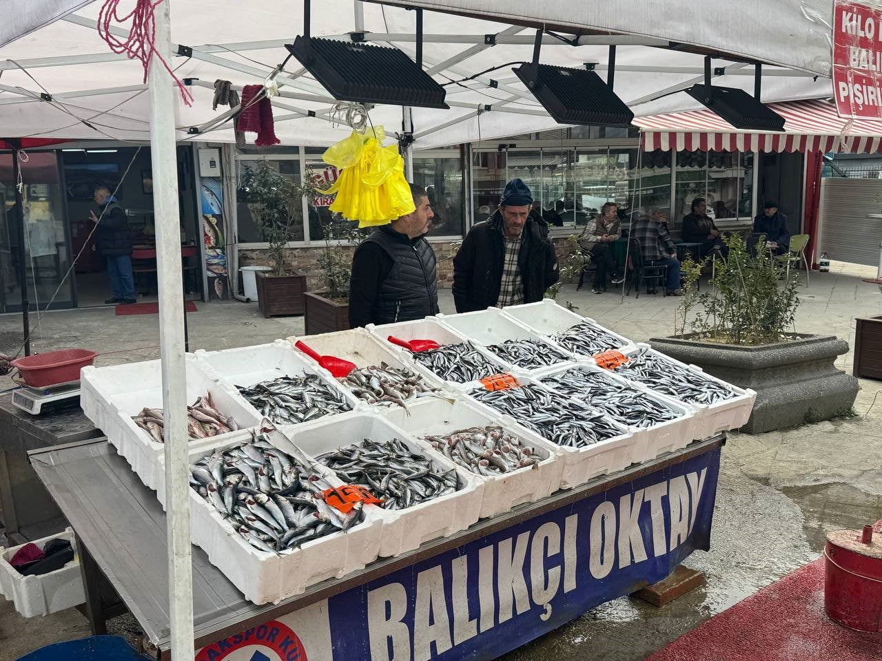 ZONGULDAKLI BALIKÇI ESNAFI OKTAY ERTÜRK, BALIK SEZONUNUN GİDİŞATINI VE FİYATLARDAKİ DALGALANMAYI...